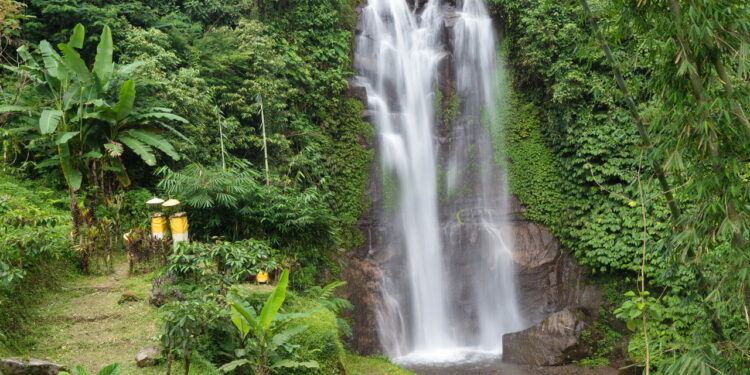 Cachoeira do Bananal - Créditos depositphotos.com smithore