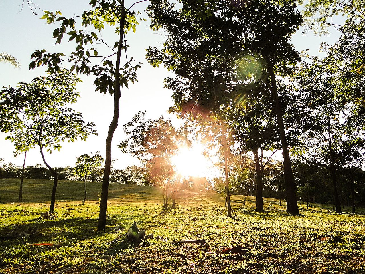 Parque_Ecológico_da_Pampulha - Wikimedia Commons