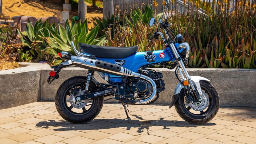 Dax 125 (Créditos: Divulgação/Honda)