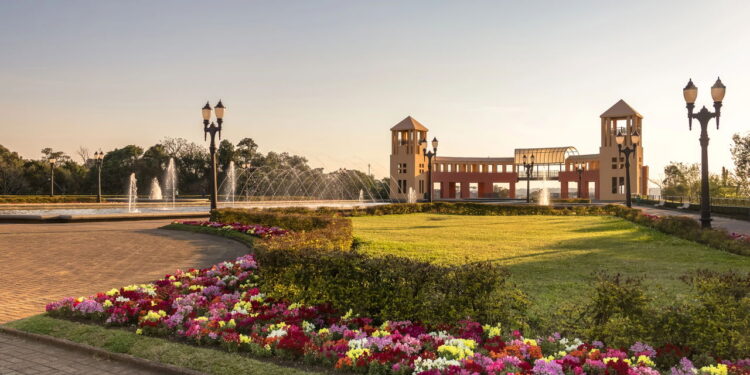 Planejando sua Viagem para Curitiba? Veja as Melhores Dicas!