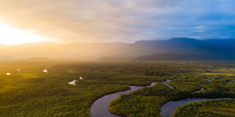 O Que a Capital Amazônica Não Quer Que Você Saiba!