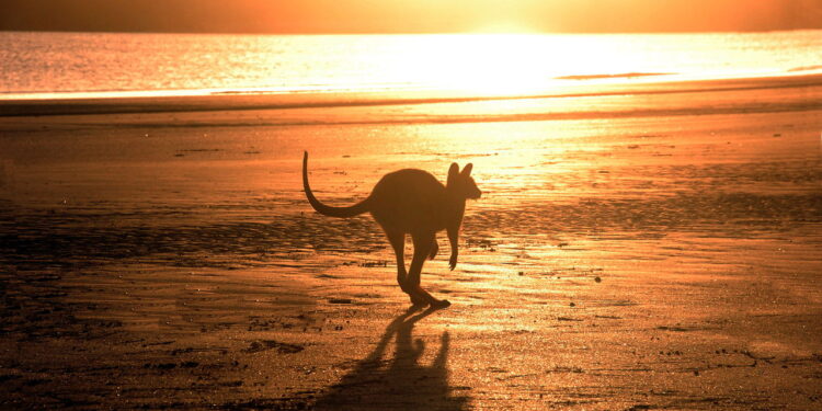 Por Que a Austrália é o Destino Mais Fascinante do Mundo?