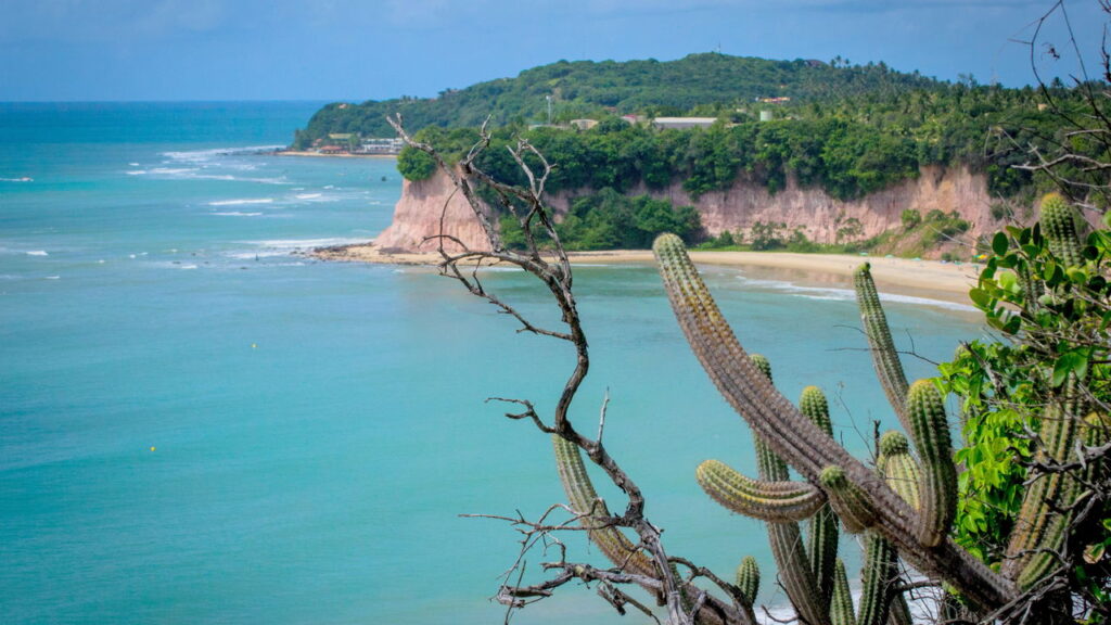 Descubra as Praias Mais Incríveis do Brasil e Surpreenda-se!