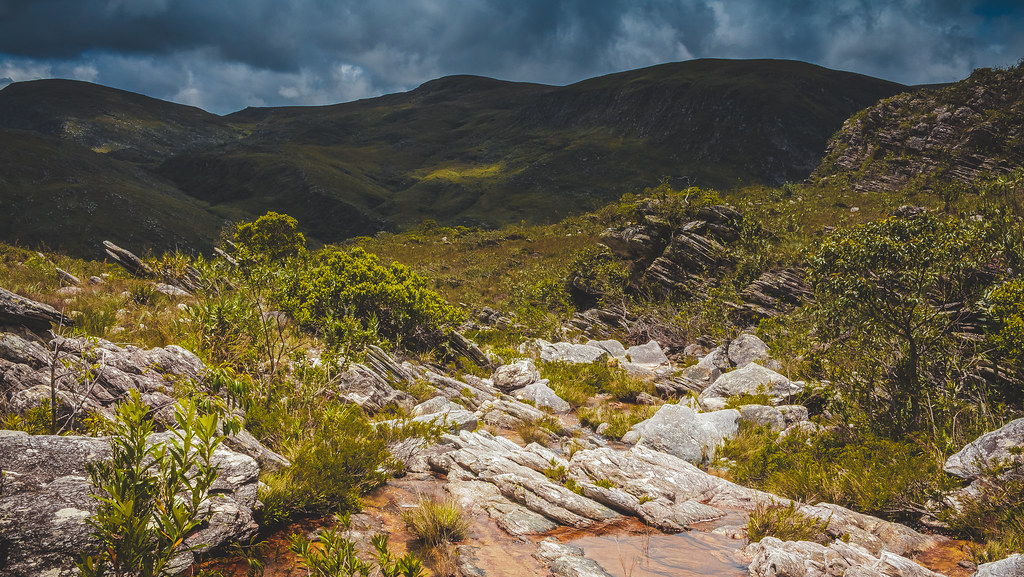 Uma Combinação Perfeita em Minas Gerais!