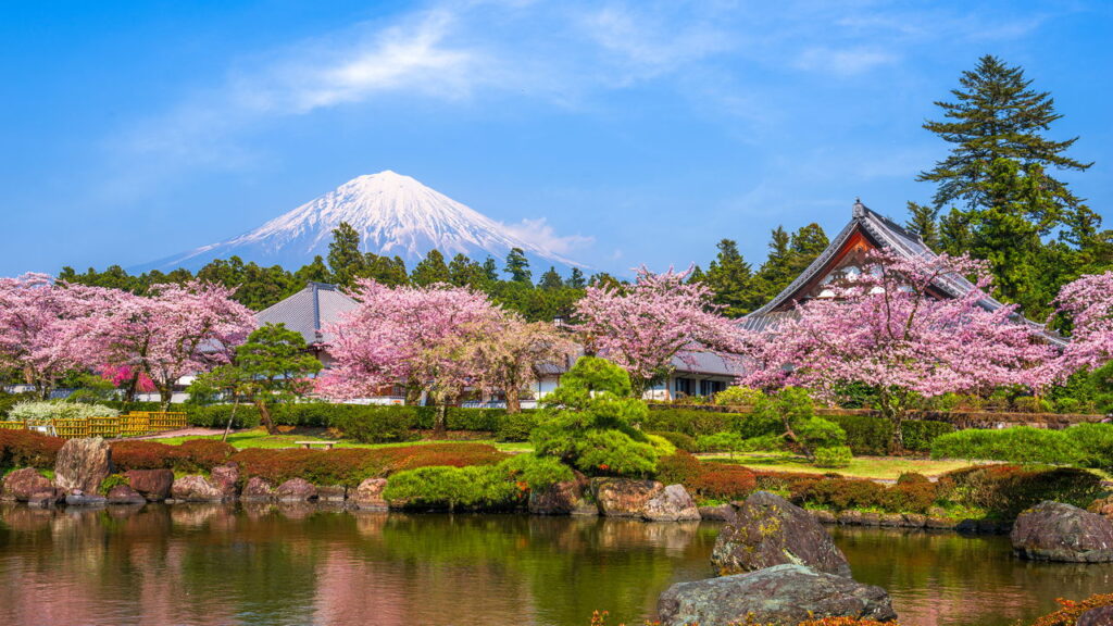 Tóquio, Kyoto, Osaka e Mais: Uma Jornada pelo Japão