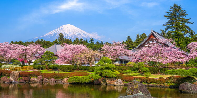 Tóquio, Kyoto, Osaka e Mais: Uma Jornada pelo Japão