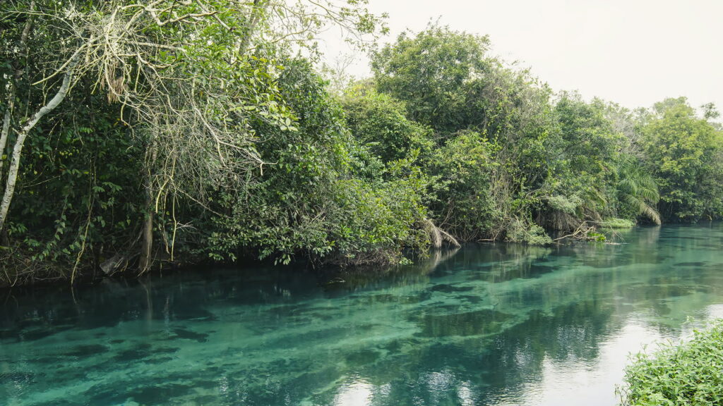 Fuja da Realidade e Explore o Paraíso Ecológico de Bonito!