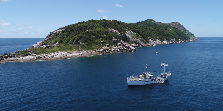 A Ilha Isolada que Abriga um Tesouro Biológico